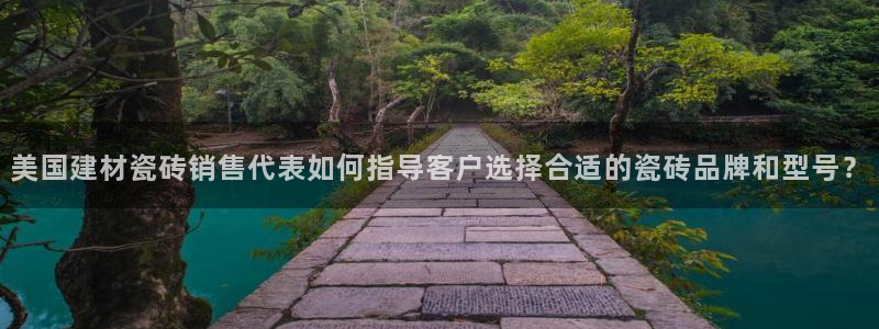 杏鑫娱乐开发团队
