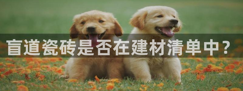 杏鑫官方平台怎么样啊安全吗