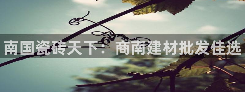 杏鑫平台平台