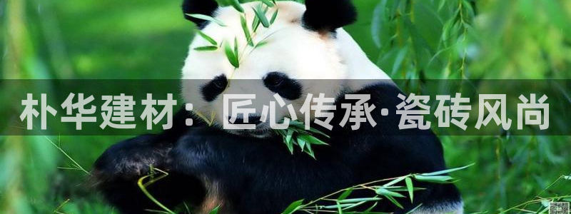 杏鑫平台怎么样