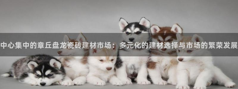 杏鑫娱乐多少年了