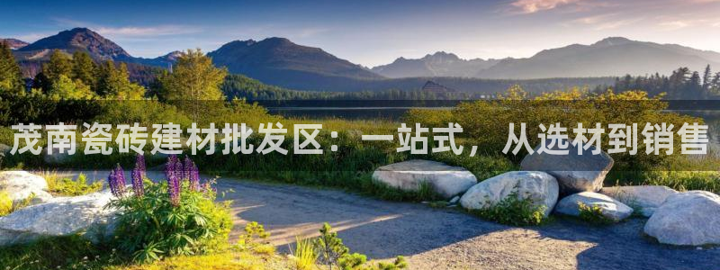 杏鑫平台代理注册登录不了怎么办呀