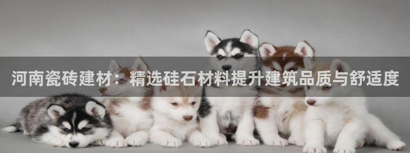 杏鑫平台怎么样黑钱吗知乎