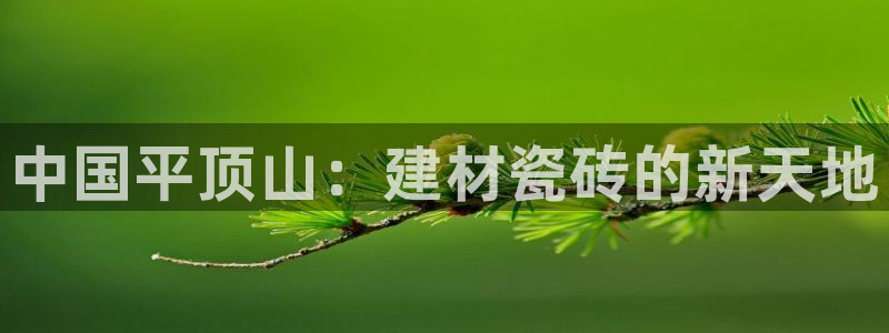 杏鑫平台登录地址是什么