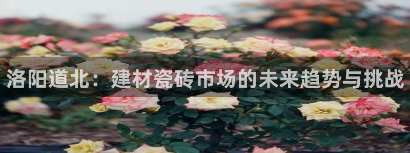 杏鑫平台代理怎么样可靠吗