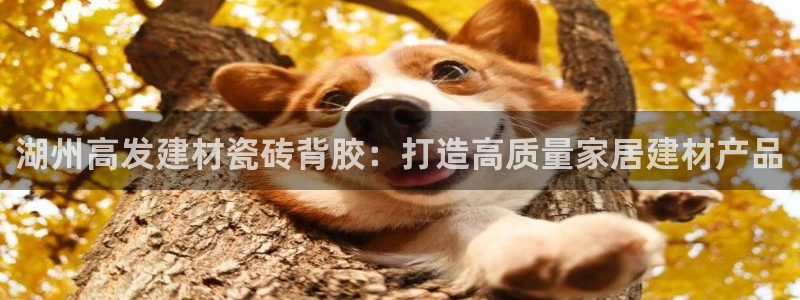 杏鑫平台代理怎么做的