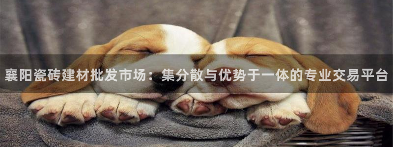 杏鑫平台怎么样黑钱吗安全吗