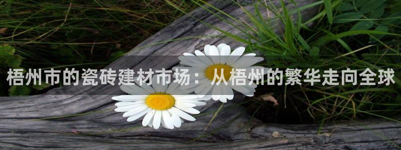 杏鑫平台正规吗是真的吗