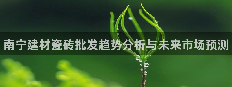 杏鑫主管