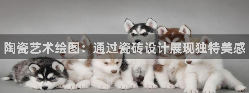 杏鑫平台代理注册多少钱啊