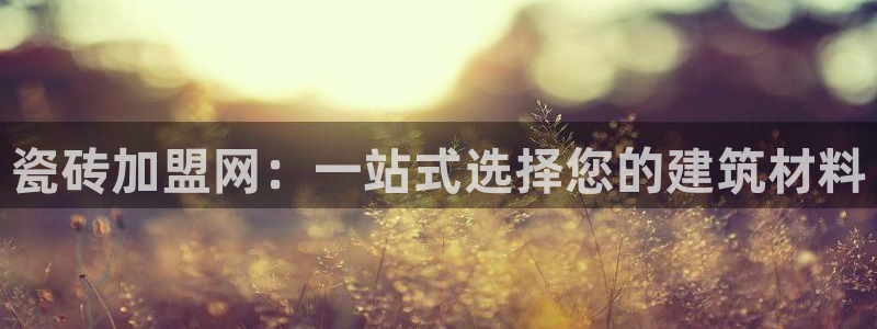 杏鑫代理注册