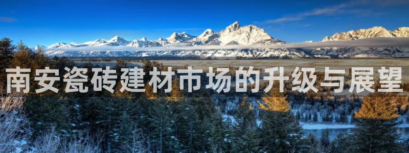 杏鑫官网注册账号是什么样的