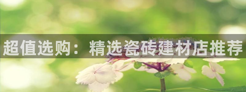 杏鑫平台野马联盟