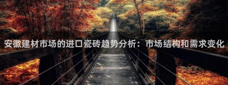 杏鑫平台代理怎么做的