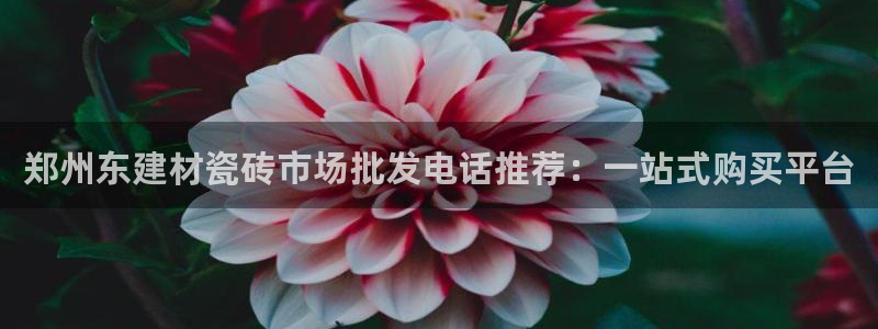 杏鑫有亏损返点吗