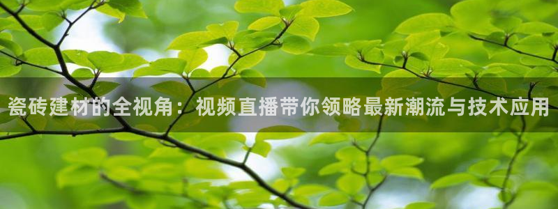 杏鑫官网最新信息新闻
