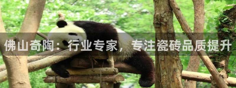 杏鑫平台代理注册多少钱一年