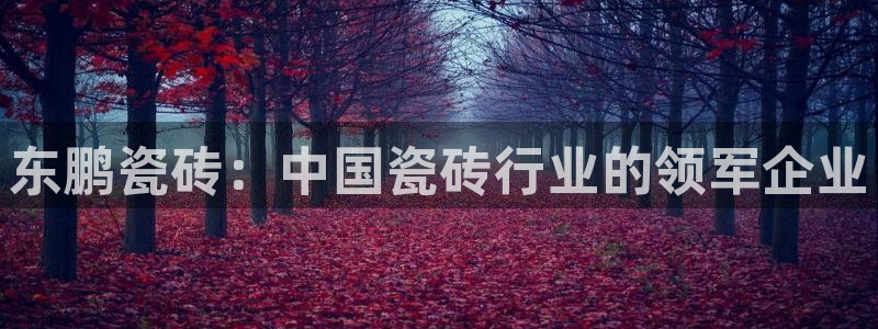 杏鑫平台代理注册流程及费用