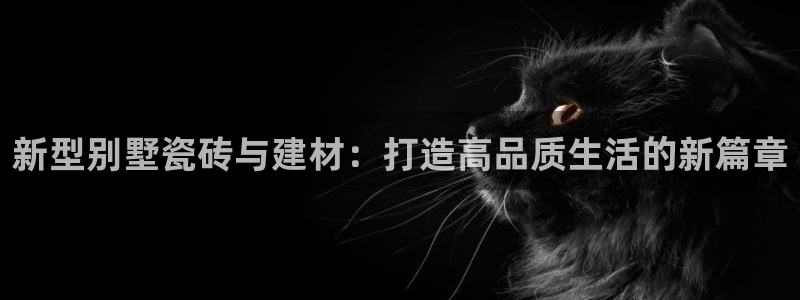 杏鑫平台代理怎么做的