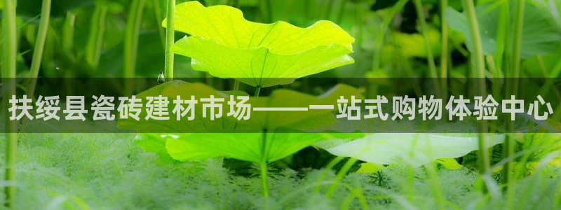 杏鑫平台在线注册