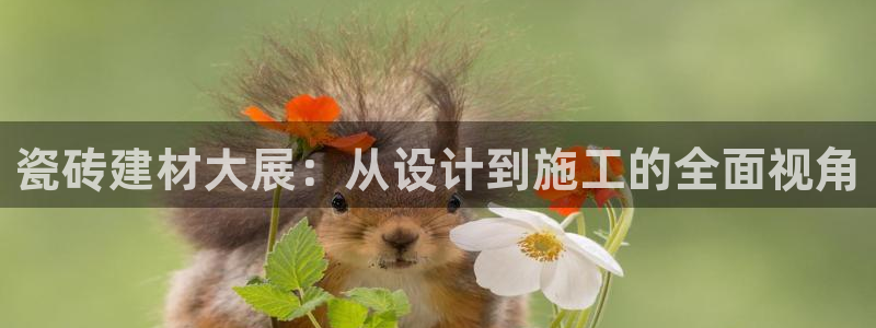 杏鑫平台招商怎么样