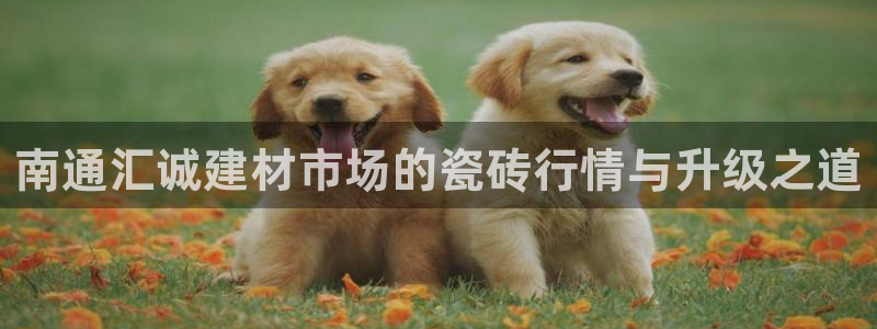 杏鑫平台平台娱乐
