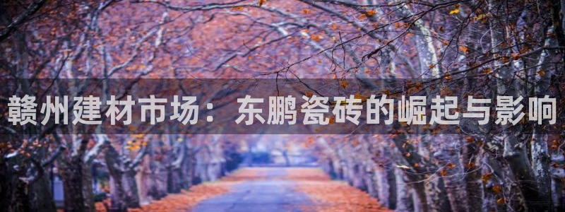 杏鑫平台注册入口在哪里找