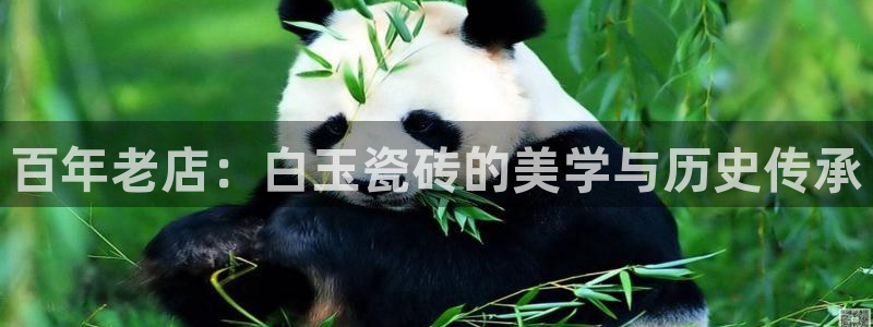 杏鑫平台代理注册多少钱