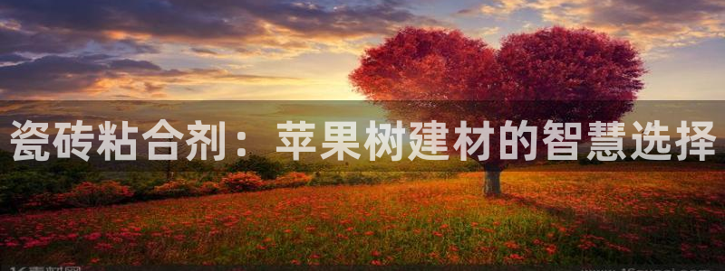 杏鑫平台下载安装