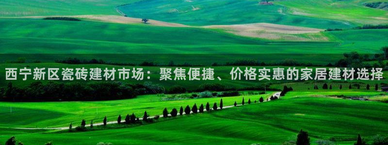杏鑫平台直属