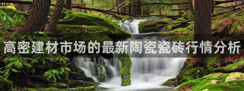 杏鑫娱乐平台登录注册网站