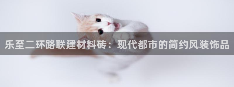 杏鑫官方app代理