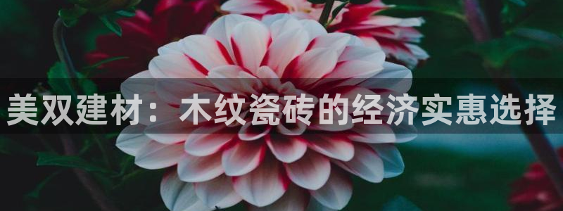 杏鑫官方平台怎么样啊安全吗