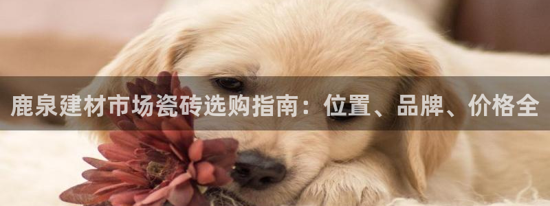 杏鑫官方平台怎么样啊安全吗
