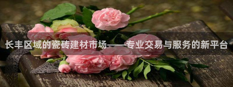 杏鑫平台在线注册怎么注册