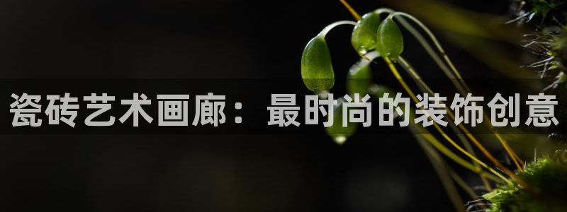 杏鑫娱乐怎么样