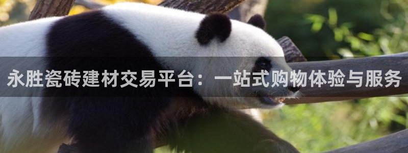 杏鑫平台是黑平台吗