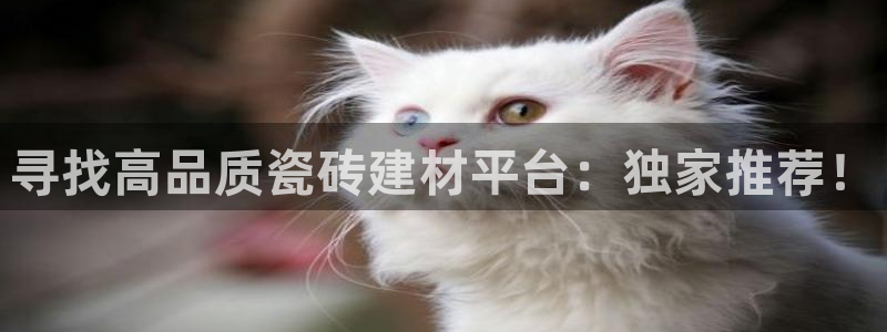 杏鑫官网最新信息新闻报道