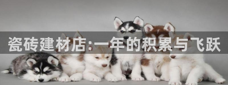 杏鑫官方平台怎么样啊安全吗