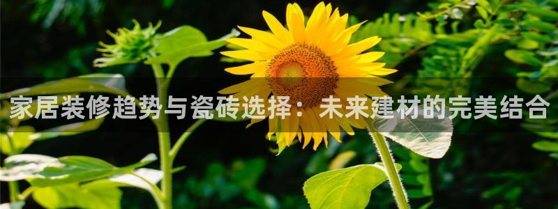 杏鑫平台是黑平台吗知乎