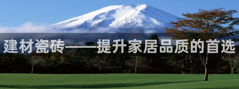 杏鑫官网注册账号是什么样的