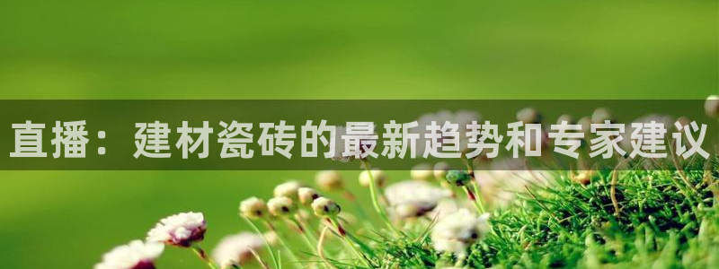 杏鑫平台代理注册流程及费用