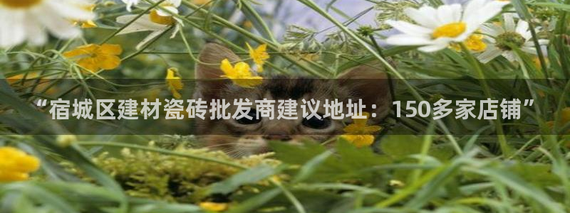 杏鑫娱乐平台登录注册网站