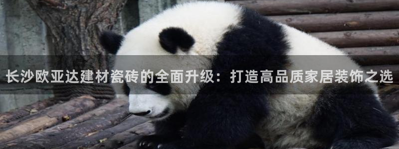 杏鑫平台平台娱乐怎么样