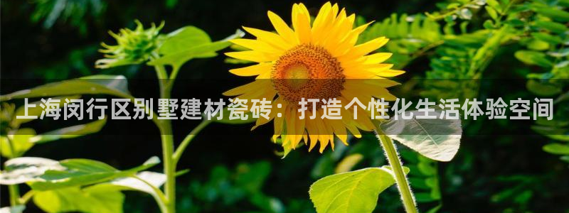 杏鑫官网注册账号怎么注册