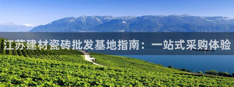 杏鑫平台代理注册流程