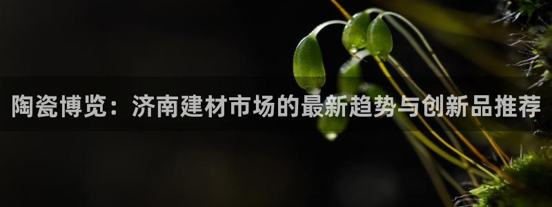 杏鑫注册平台官方网站下载