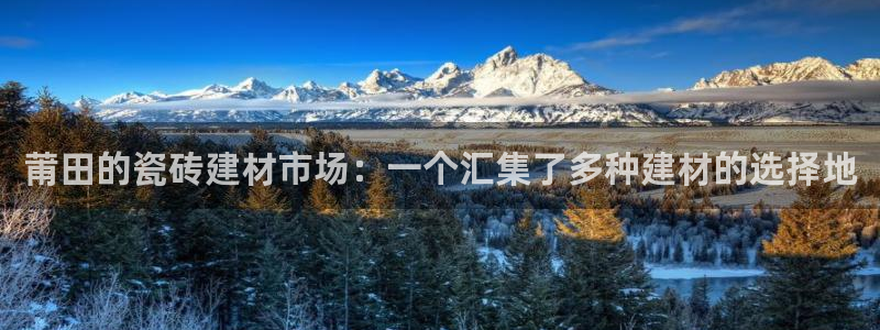 杏鑫平台野马联盟怎么样