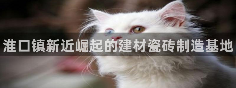 杏鑫平台号7O777