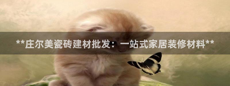 杏鑫平台代理注册